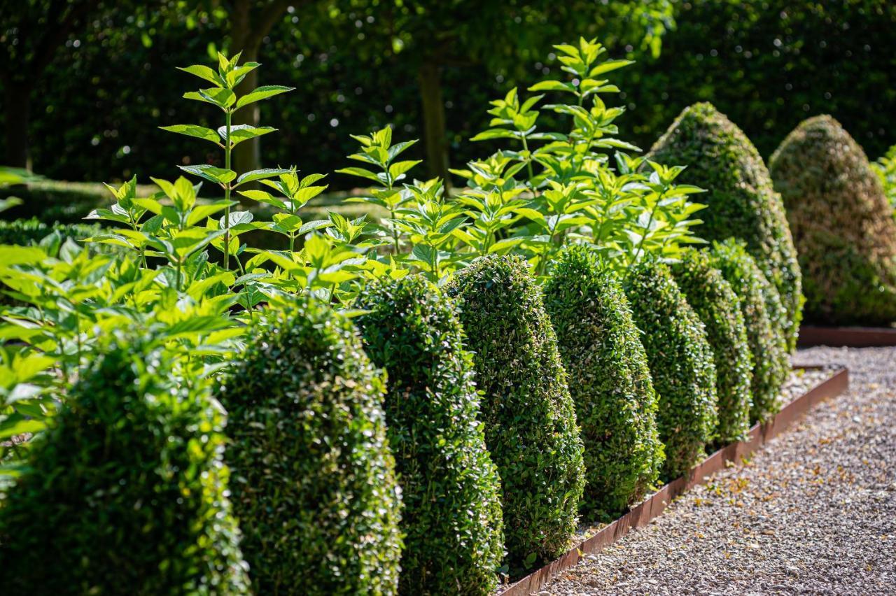 Al Segnavento - Fiori&Frutti Villa Mestre Ngoại thất bức ảnh